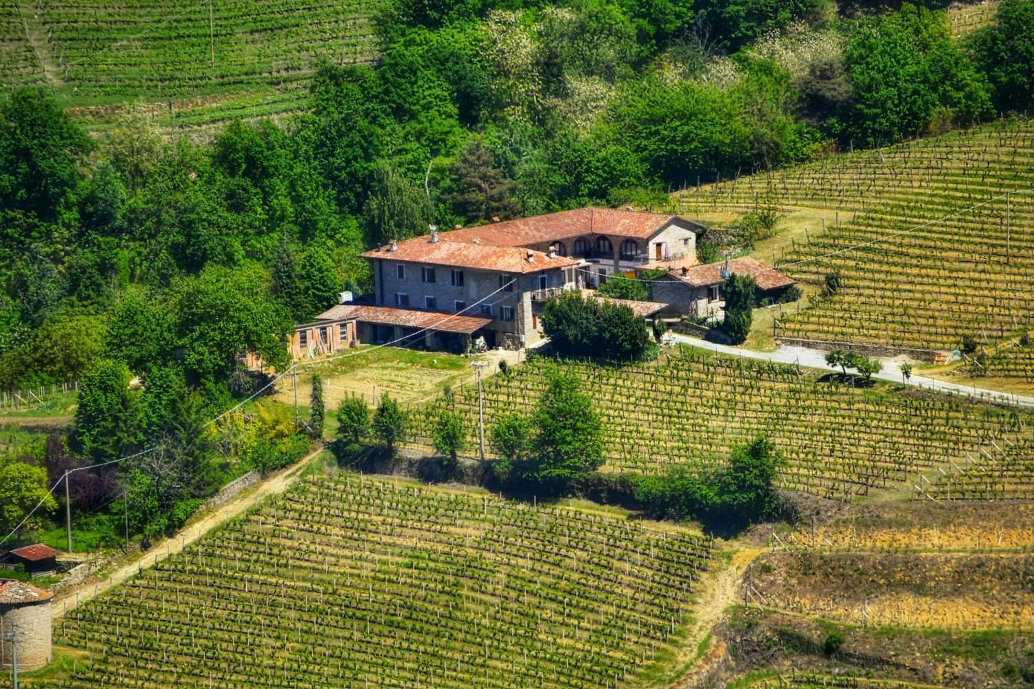 Agriturismo Tenuta San Giuseppe Cossano Belbo Bagian luar foto