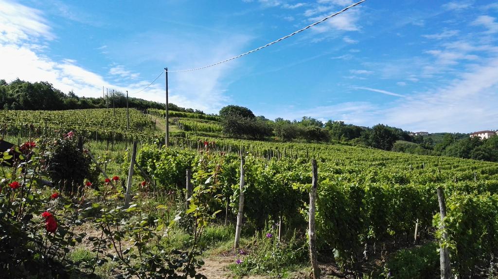Agriturismo Tenuta San Giuseppe Cossano Belbo Bagian luar foto